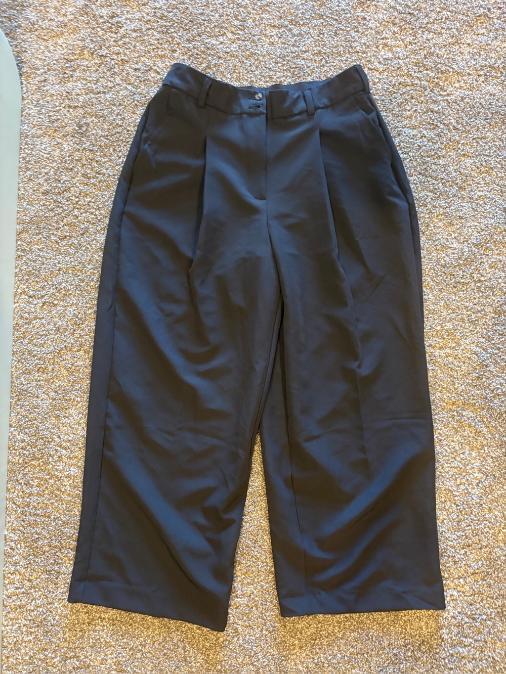 Fashion to Figure Black Pleated Wide-Leg Dress Pants